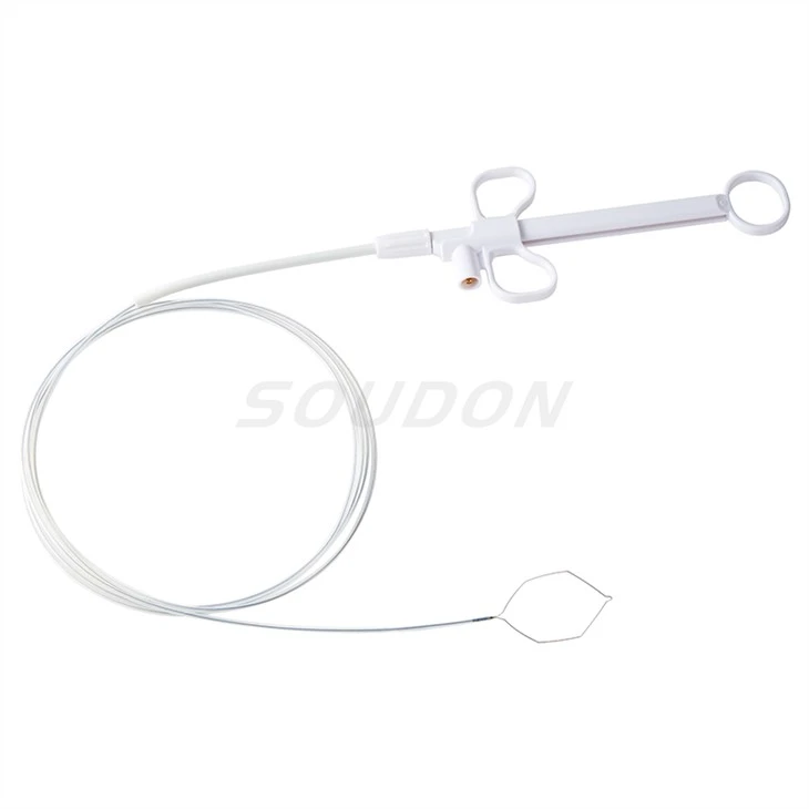 snare cautery polypectomy